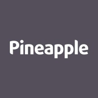 Pineapple Contracts Nederland logo - Similar company to Bristol Maid - Hospital Metalcraft Ltd