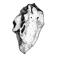 Asteroid International logo - Similar company to Intact Pacific