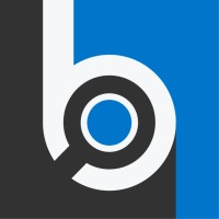 Business Insights México logo - Similar company to Lenglobal