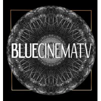 Blue Cinema TV logo - Similar company to Velafilm S.R.L.