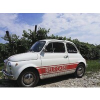 Bele Casel logo - Similar company to Compensati Sud Srl
