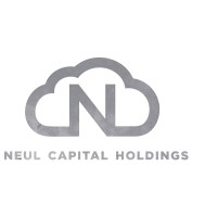 Neul Capital Holdings logo - Similar company to One Touch Global Technologies