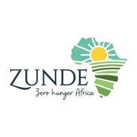 Zunde Group logo - Similar company to Two Nine Group