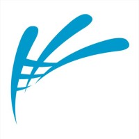 NETVisor logo - Similar company to Ctalks By Bdg