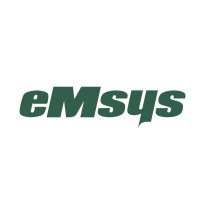 eMsys Solutions logo - Similar company to Amol Technologies
