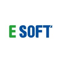 E Soft Limited logo - Similar company to Arvind Infotech