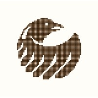 Raven Impact Foundation logo - Similar company to Raven Outcomes