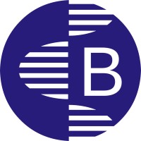 Bharati Software logo - Similar company to Fastbit Embedded Brain Academy
