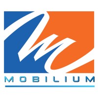 MOBILIUM SAS logo - Similar company to Delaitec