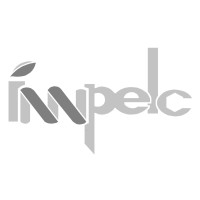 Innovación en Proyectos Eléctricos y de Construcción. logo - Similar company to Servicios Y Proyectos En Energía, Software Y Obra Civil Sas