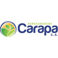 Agroganadera Carapa SA logo - Similar company to Grupo Acsa