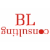Bl Consulting Ltd