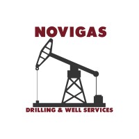Novi Gas Group logo - Similar company to Obiz Pakistan
