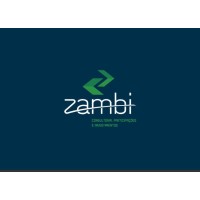 Zambi logo - Similar company to Ztech Compósitos
