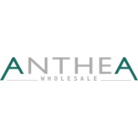ANTHEA WHOLESALE SRL logo - Similar company to Probee