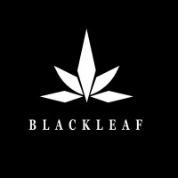 BLACK LEAF logo - Similar company to Aluwin Solution