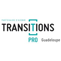 Transitions Pro Guadeloupe logo - Similar company to Sun Alternative +