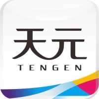 Guangdong Tengen Industrial Group Co.,Ltd logo - Similar company to Emay Games