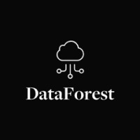 DataForest logo - Similar company to Dataforest