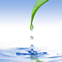 Eau Pure Technologie logo - Similar company to Ventilation Nette