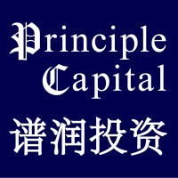 Principle Capital logo - Similar company to 0.8L