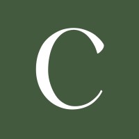Carve logo - Similar company to Tech Savvy Assistant
