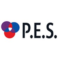 P.E.S Fire and Security Systems logo - Similar company to Proper Padel