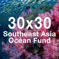 30x30 Southeast Asia Ocean Fund logo - Similar company to Bluejacket Foundation Inc