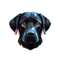 Labracode logo - Similar company to Dm Integrations
