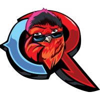 Cool Robin IT Solutions logo - Similar company to Matos & Jawad Pllc