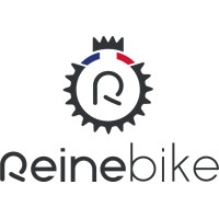 REINE bike logo - Similar company to Easy-Watts Motorcycles