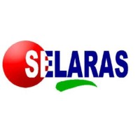 PT. Selaras Surya Jaya Abadi logo - Similar company to Lyvprojects