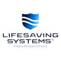 Lifesaving Systems logo - Similar company to Onboard Systems