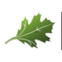GM FTF Flooring/Forest To Floor logo - Similar company to Big Voodoo Interactive
