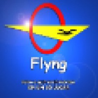 FLYNG COMERCIO DE PRODUTOS NAO PERECIVEIS EIRELI logo - Similar company to Salvage Direct