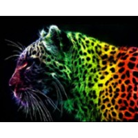 Painter SRL logo - Similar company to Oecus Srl