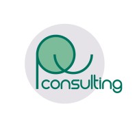 PU Consulting logo - Similar company to Tapti Solar