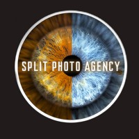 Split Photo Agency logo - Similar company to Stock Photo Agency Alimdi