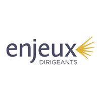 Enjeux Dirigeants logo - Similar company to Version Originale