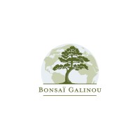 Bonsaï Galinou logo - Similar company to Treeman