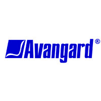 Avangard LLC logo - Similar company to Wisp Services, Llc