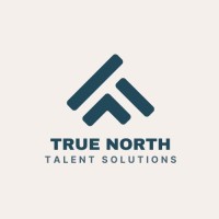 True North AB logo - Similar company to Novo X Technologies