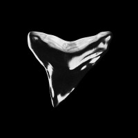 Silver Tooth Post logo - Similar company to Nerdeo