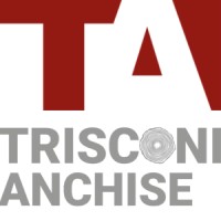 Trisconi Anchise SA logo - Similar company to Rénovdomus