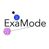 ExaMode logo - Similar company to Hereditary