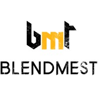 Blendmest Technologies Pvt Ltd logo - Similar company to Predulive Labs