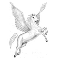 Pegasus' Son logo - Similar company to Vdl Mpc