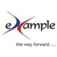 Example Consulting Group