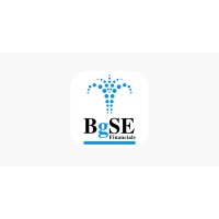 BgSE Financials Limited logo - Similar company to Otc
