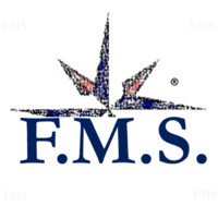 F.M.S. Consulting S.r.l. logo - Similar company to Implementa